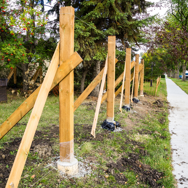 Fence Installation & Staining in DFW